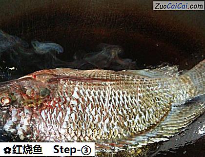 红烧鱼做法第三步骤
