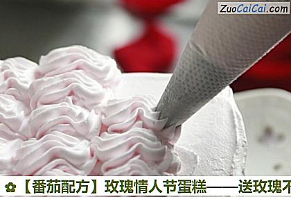 番茄配方做法第九步骤