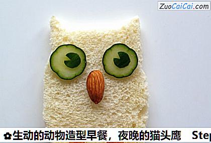生动的动物造型早餐，夜晚的猫头鹰做法第三步骤