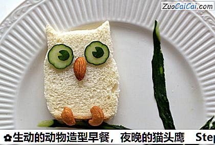 生动的动物造型早餐，夜晚的猫头鹰做法第四步骤