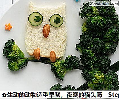 生动的动物造型早餐，夜晚的猫头鹰做法第五步骤