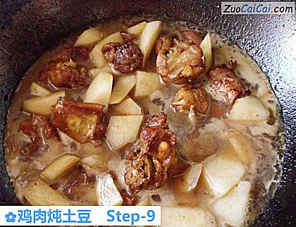 鸡肉炖土豆做法第九步骤