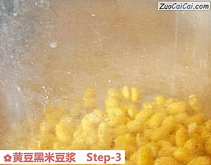 黄豆黑米豆浆做法第三步骤