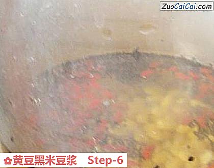 黄豆黑米豆浆做法第六步骤
