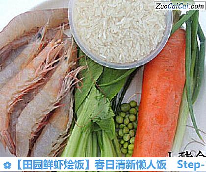 田园鲜虾烩饭做法第一步骤
