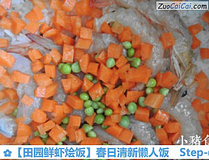 田园鲜虾烩饭做法第四步骤