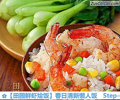 田园鲜虾烩饭做法第六步骤