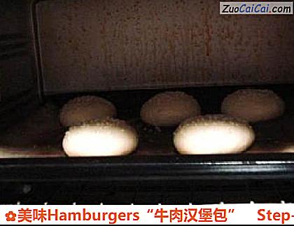 美味Hamburgers“牛肉汉堡包”做法第十步骤