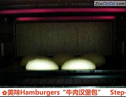 美味Hamburgers“牛肉汉堡包”做法第十三步骤