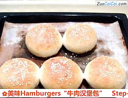 美味Hamburgers“牛肉汉堡包”做法第十四步骤