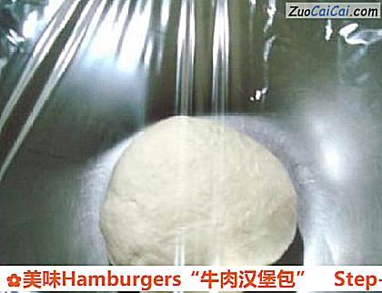 美味Hamburgers“牛肉汉堡包”做法第三步骤