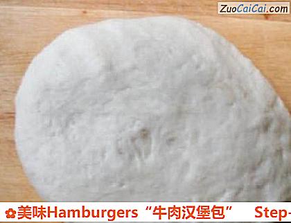 美味Hamburgers“牛肉汉堡包”做法第五步骤
