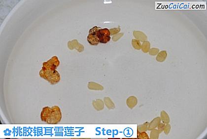 桃胶银耳雪莲子做法第一步骤