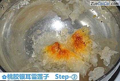 桃胶银耳雪莲子做法第二步骤