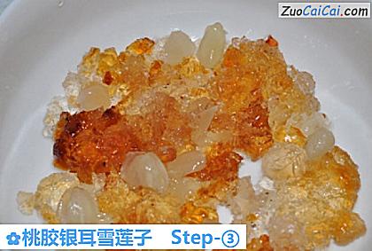 桃胶银耳雪莲子做法第三步骤