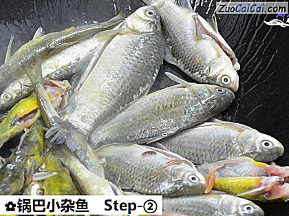 锅巴小杂鱼做法第二步骤