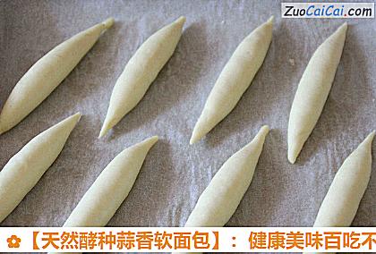 天然酵种蒜香软面包做法第十四步骤