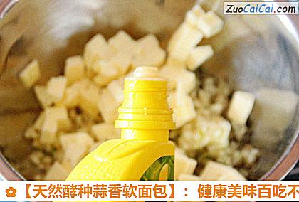 天然酵种蒜香软面包做法第三步骤