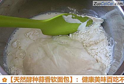 天然酵种蒜香软面包做法第五步骤