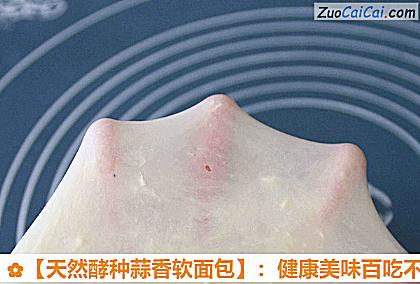 天然酵种蒜香软面包做法第七步骤