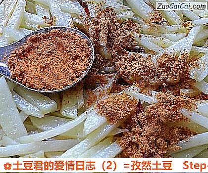 土豆君的爱情日志=孜然土豆做法第三步骤