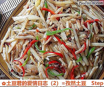 土豆君的爱情日志=孜然土豆做法第九步骤