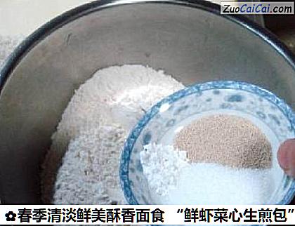 春季清淡鲜美酥香面食“鲜虾菜心生煎包”做法第二步骤