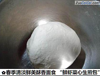 春季清淡鲜美酥香面食“鲜虾菜心生煎包”做法第四步骤