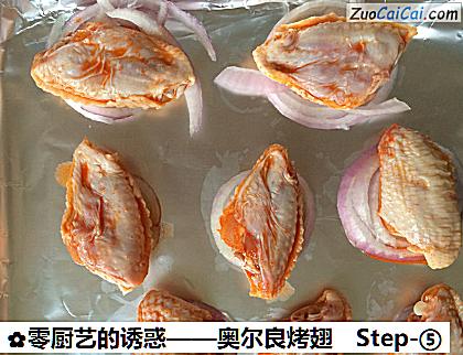奥尔良烤翅做法第五步骤