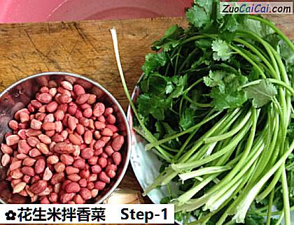 花生米拌香菜做法第一步骤