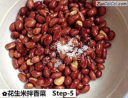 花生米拌香菜做法第五步骤