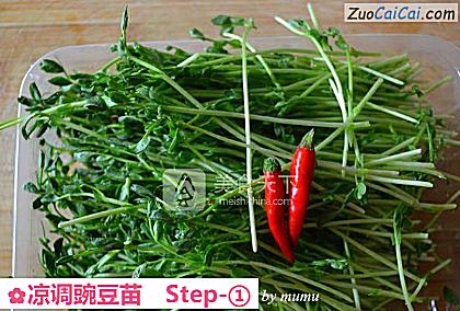 凉调豌豆苗做法第一步骤