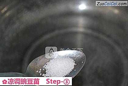 凉调豌豆苗做法第三步骤