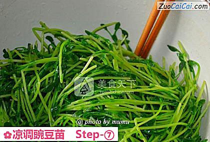 凉调豌豆苗做法第七步骤
