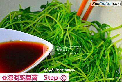 凉调豌豆苗做法第八步骤