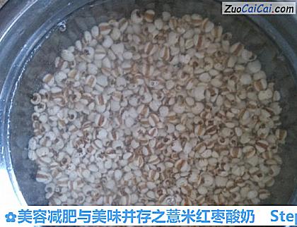 美容减肥与美味并存之薏米红枣酸奶做法第二步骤