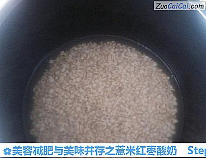 美容减肥与美味并存之薏米红枣酸奶做法第三步骤