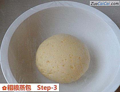 粗粮蒸包做法第三步骤