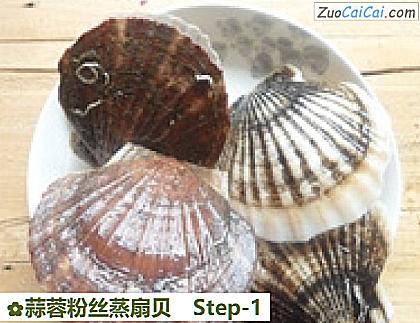 蒜蓉粉丝蒸扇贝做法第一步骤