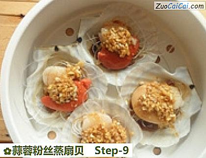 蒜蓉粉丝蒸扇贝做法第九步骤
