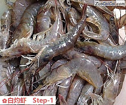 白灼虾做法第一步骤