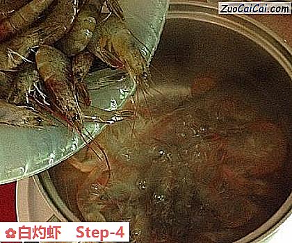 白灼虾做法第四步骤