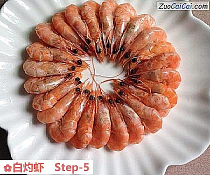 白灼虾做法第五步骤