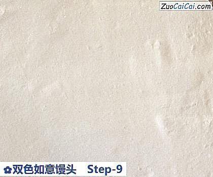 双色如意馒头做法第九步骤