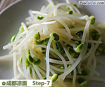 成都凉面做法第七步骤