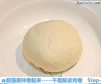 超强美味卷起来-千层酥皮肉卷做法第二步骤