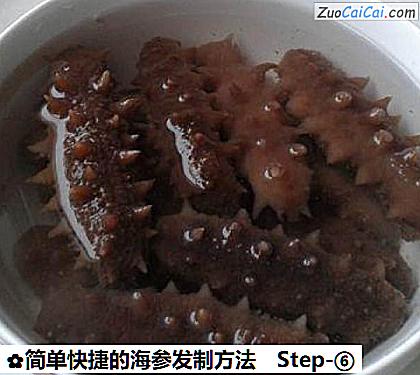简单快捷的海参发制方法做法第六步骤