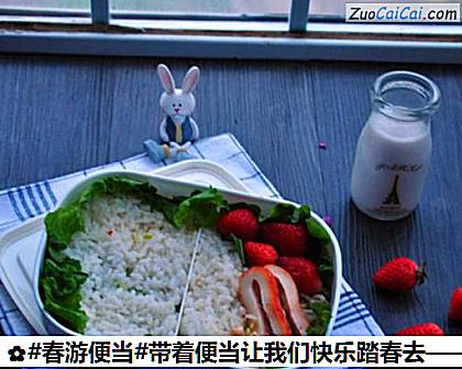 带着便当让我们快乐踏春去——小狮子便当做法第十八步骤