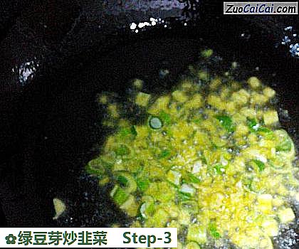 绿豆芽炒韭菜做法第三步骤
