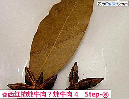 西红柿炖牛肉?炖牛肉4做法第六步骤
